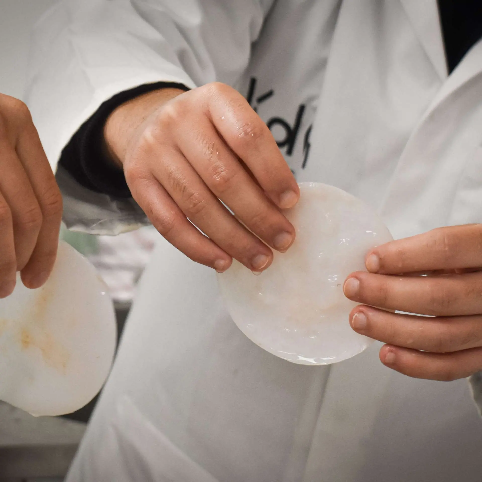 Kombucha scoby in the making at Biolab Campus KdG Hoboken