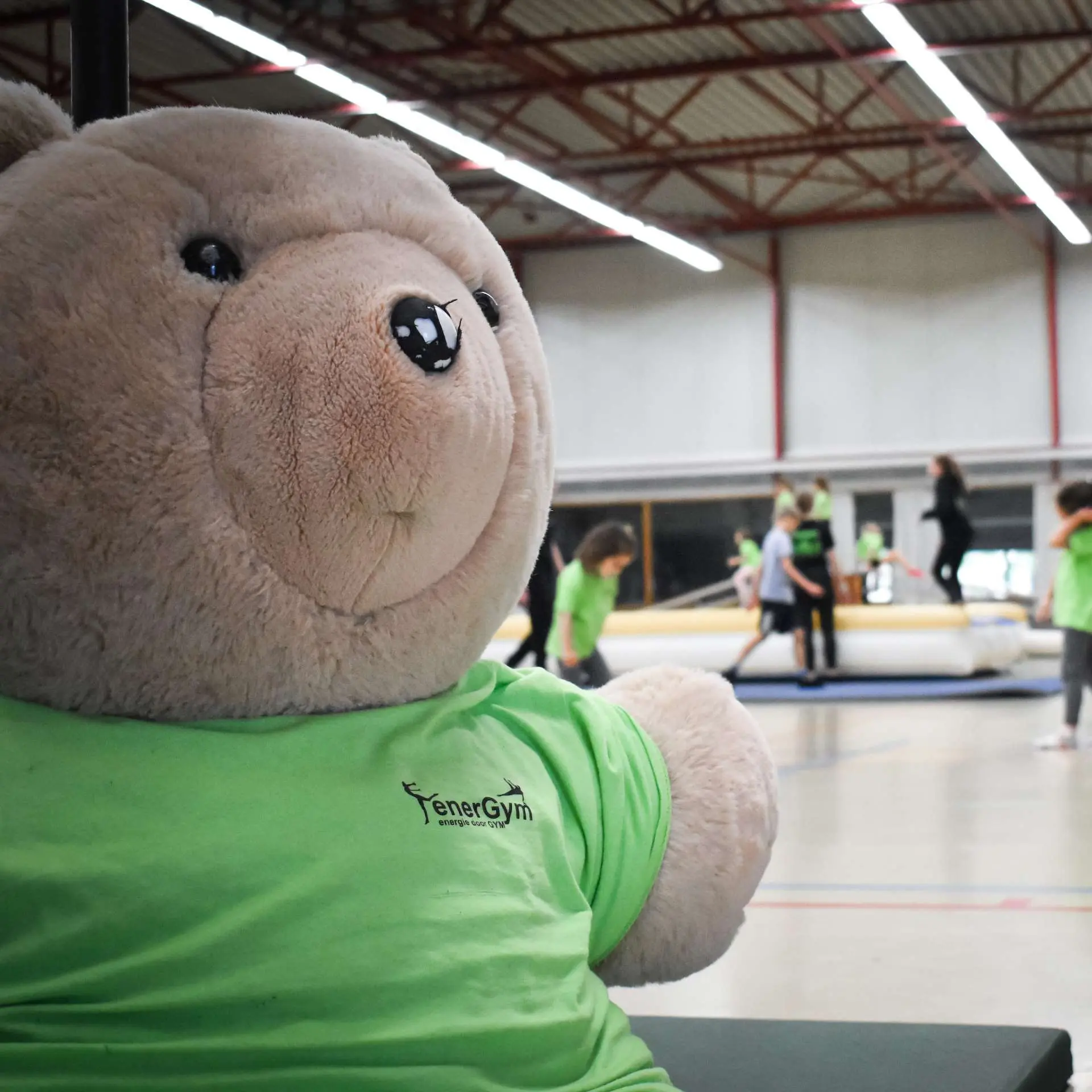 Teddy mascot Turnkring Energym