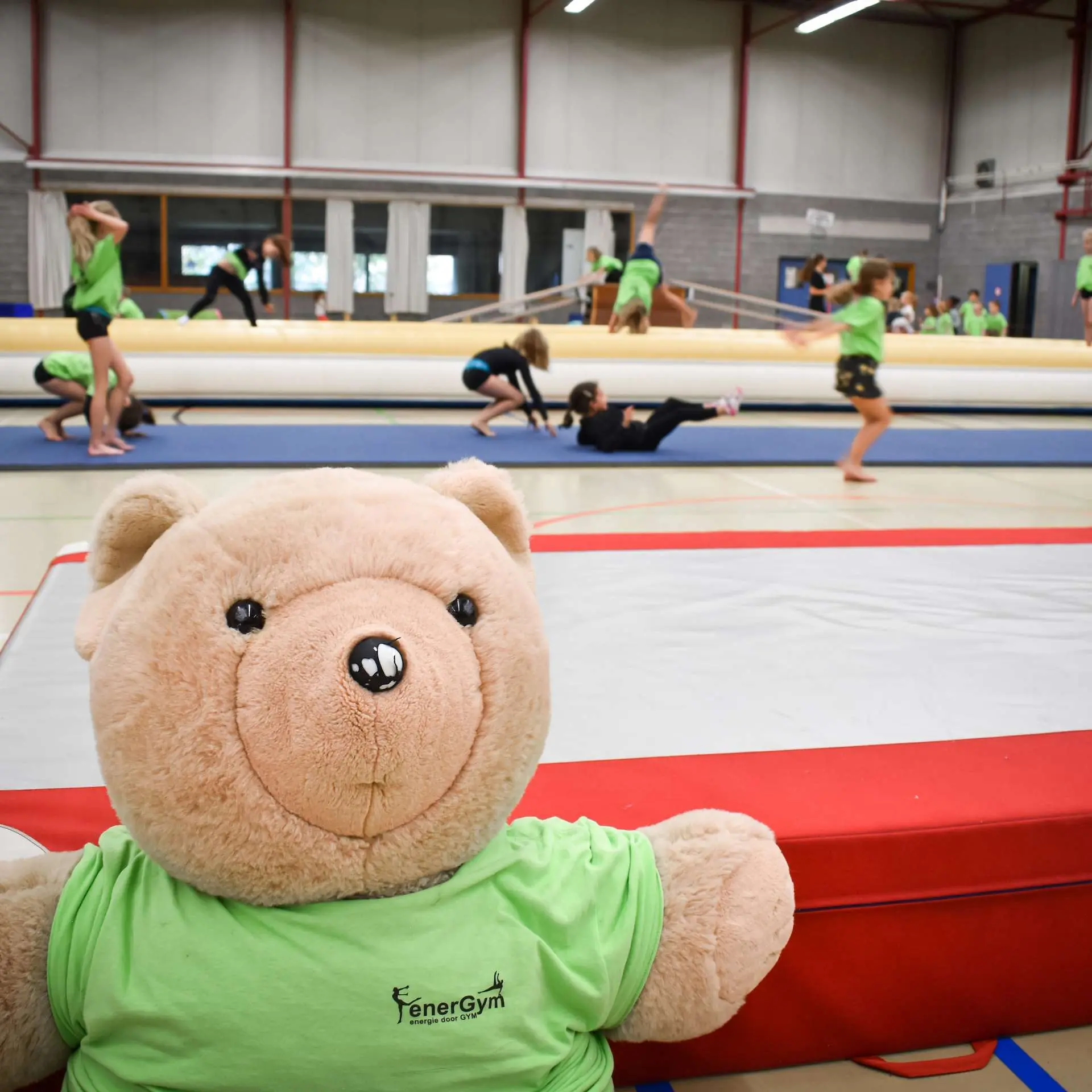 Teddy mascot Turnkring Energym